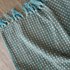 Empire Cotton Throw in Blue & Green